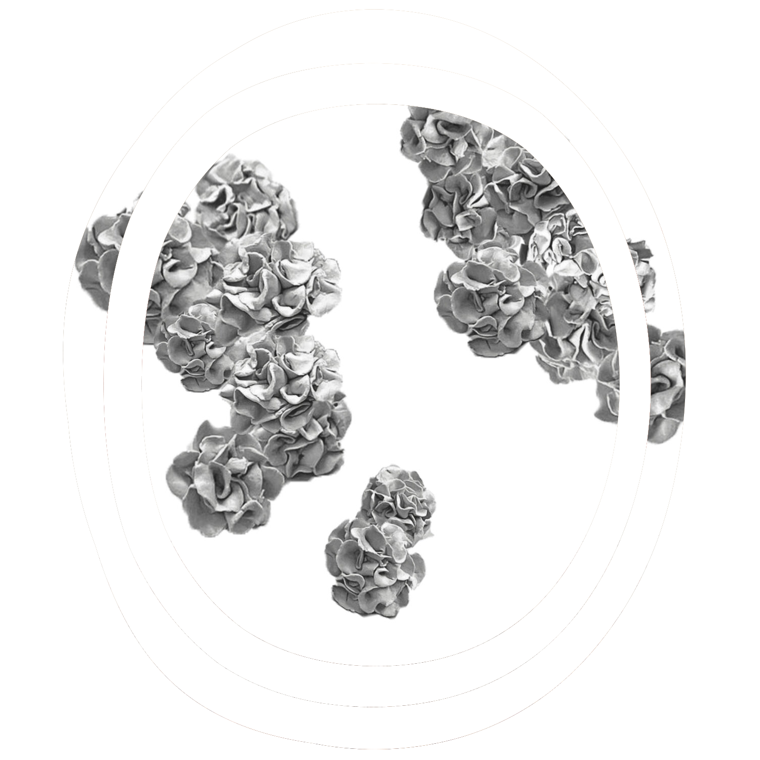 Métamorphoses – Exposition d’Émilie Flores du 04 au 15 février 2025