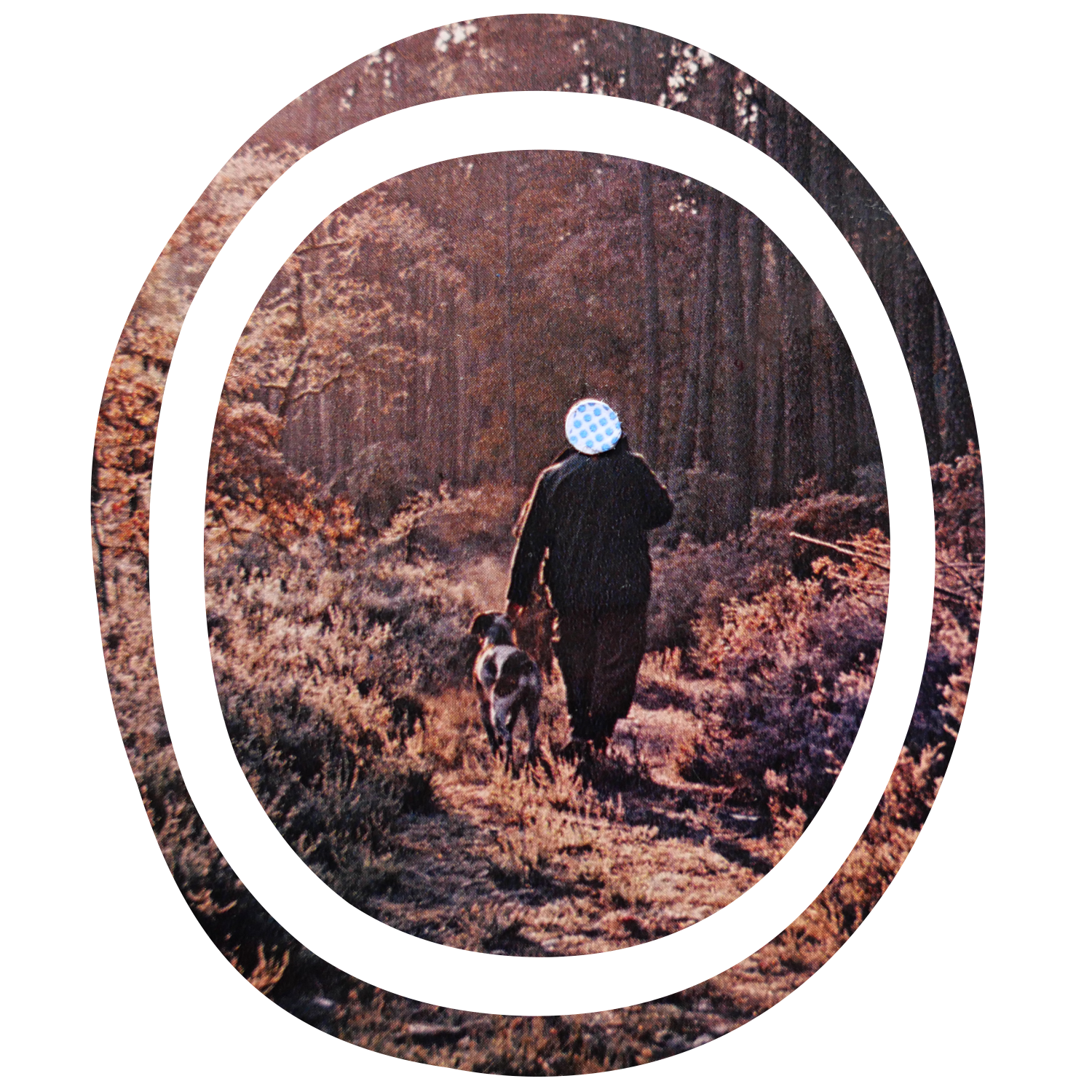 Bons Baisers – la carte postale et le territoire – prolongation – lecture le 11 décembre 2025