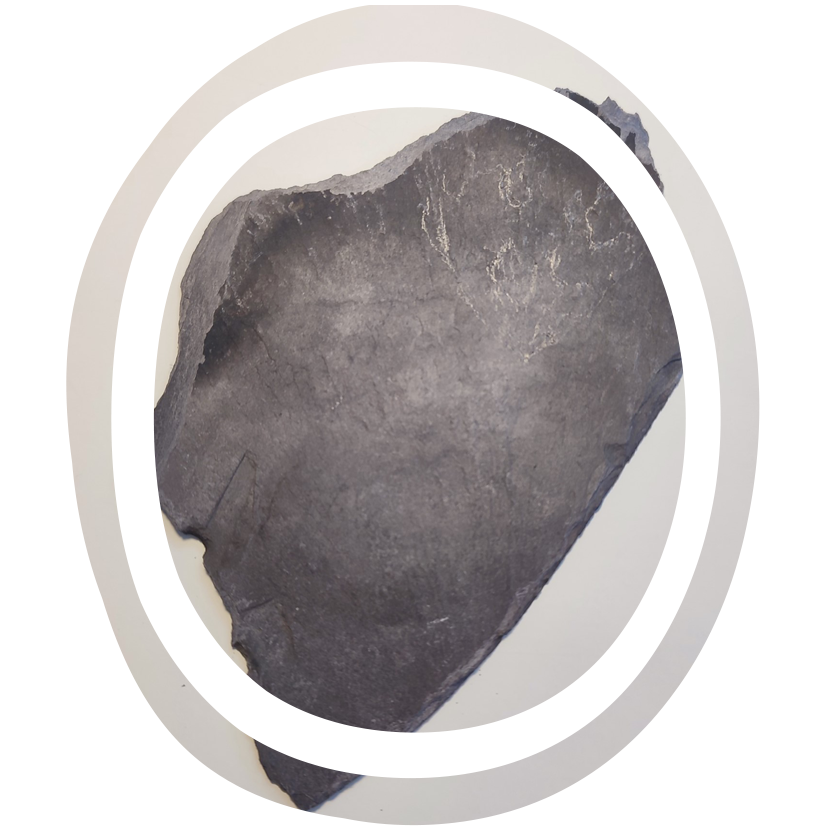 Fanny Wyzlan, résidence du 15 février au 1er mars 2026